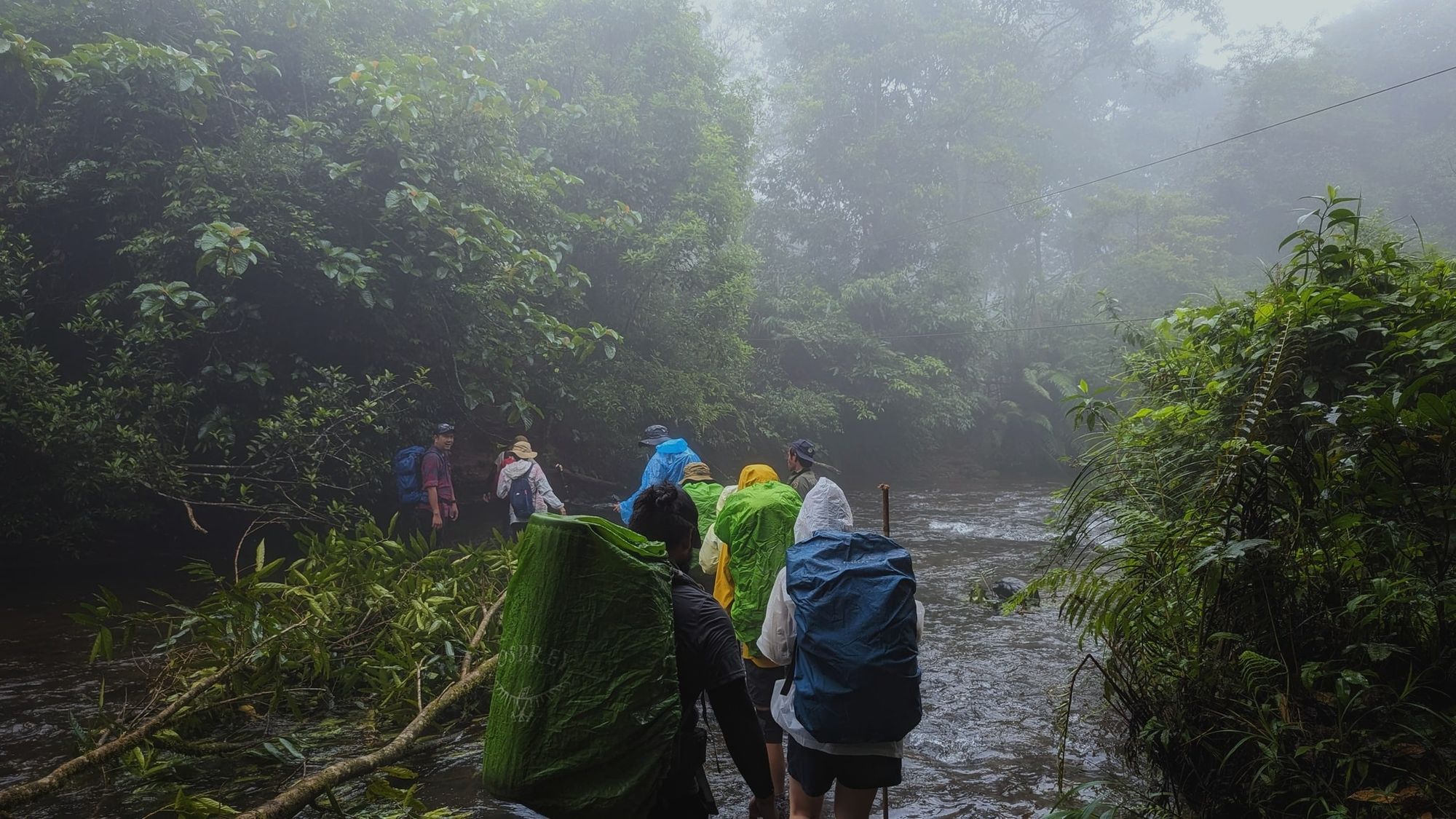 Did trekking one time this year. Still counted as exercise.