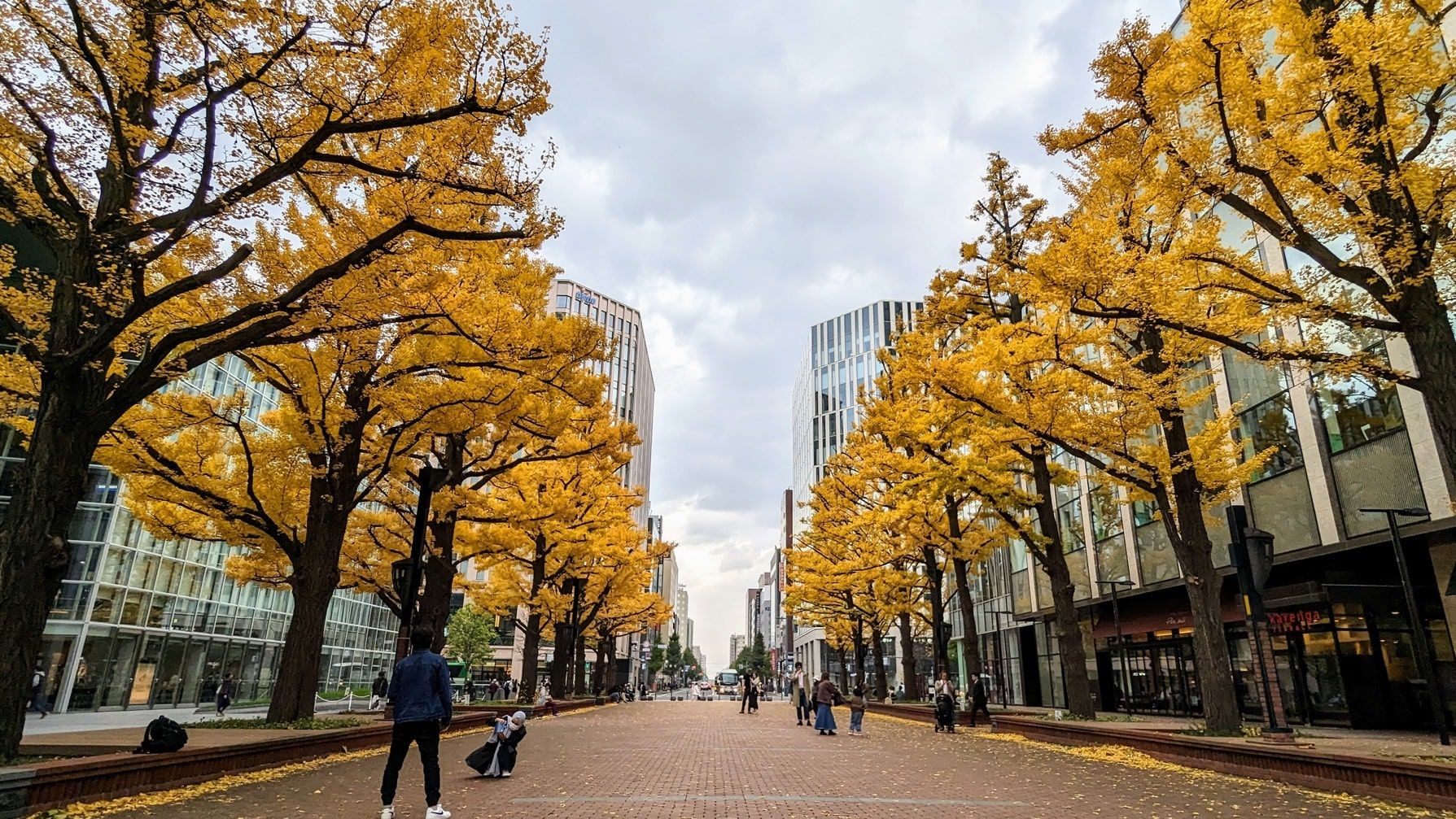 Golden Sapporo